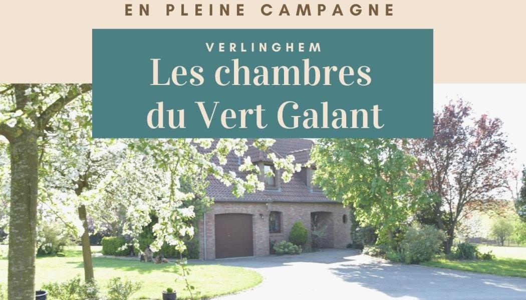 Les Chambres Du Vert Galant "La Campagne Qui Murmure" Verlinghem Exterior photo