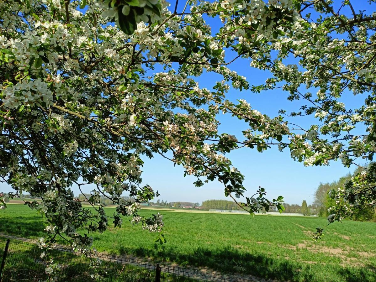 Les Chambres Du Vert Galant "La Campagne Qui Murmure" Verlinghem Exterior photo